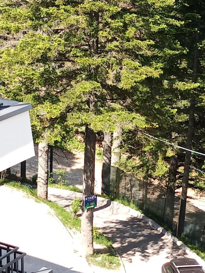 Apartman Bijela Bjelašnica 外观 照片